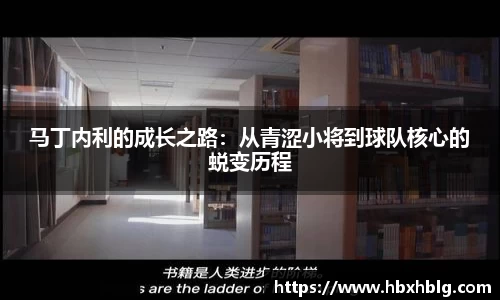 米兰体育官网